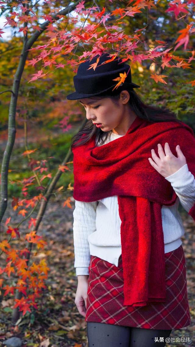 【每日一景】“枫”景这边独好 中山植物园红枫岗