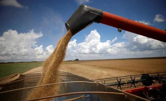 美豆堆到粮仓爆！巴西豆坐地起价？中国48小时签阿根廷 130 万单！