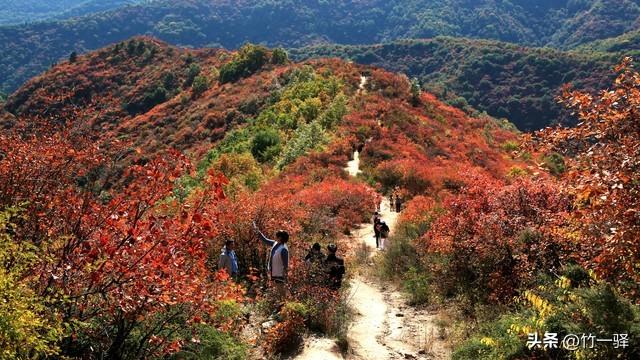 Deepseek和百度AI共同推荐北京红叶区：到北京旅游至少要去三个。