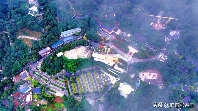 记四川雅安碧峰景色