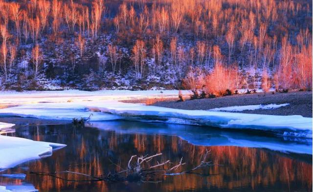 冬寻双极·打卡冷极根河&北极漠河、漫步大兴安岭、探访使鹿部落