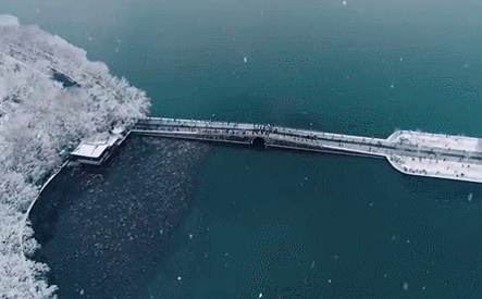 下雪了！下雪了！浙江的第一场雪来了！