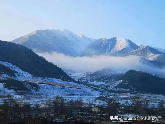 初冬青海,一场静谧与热烈并存的生命礼赞