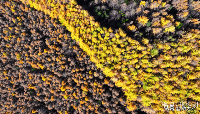 秋韵未歇：张家川山水的立冬回眸