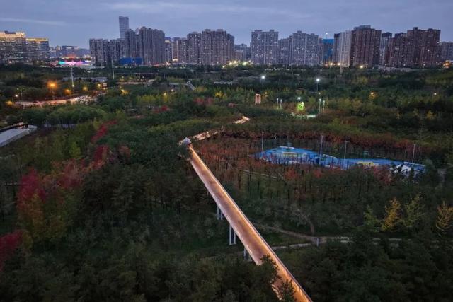 雁南公园亮新景！“枫红映雁塔”第三届幸福雁塔枫叶季火热进行中