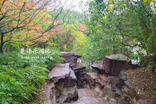绍兴上虞的绚丽秋色，堪称封神的红枫园林胜境，比风景油画还要美
