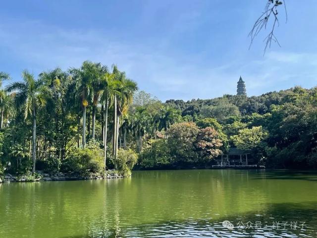 广西游记（3）：南宁青秀山与广西博物馆