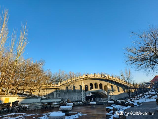 新疆乌鲁木齐红光山大佛寺