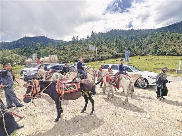 冬日高原 带你遇见不一样的西藏