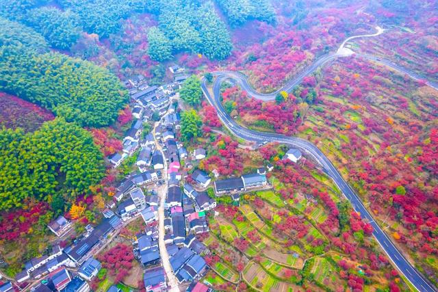 宁波四明山，成了“油画”