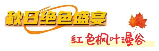 烟台秋日绝色盛宴筹备中，走！寻秋去！