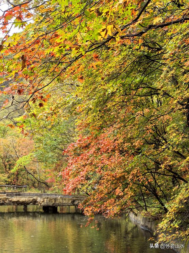 2025辽宁赏秋之旅日记(2)——游览丹东蒲石河森林公园