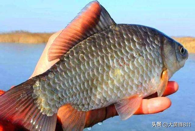 认识大美河南的每个县——第22波：淇县