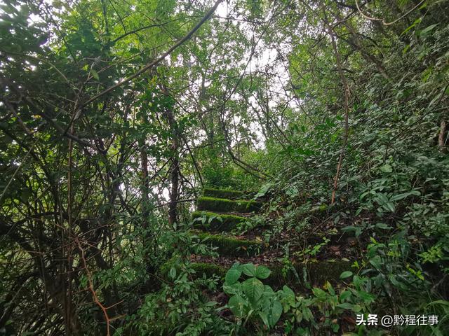 探寻龙眼山古寺遗址，一次最为艰难的野外探险之旅