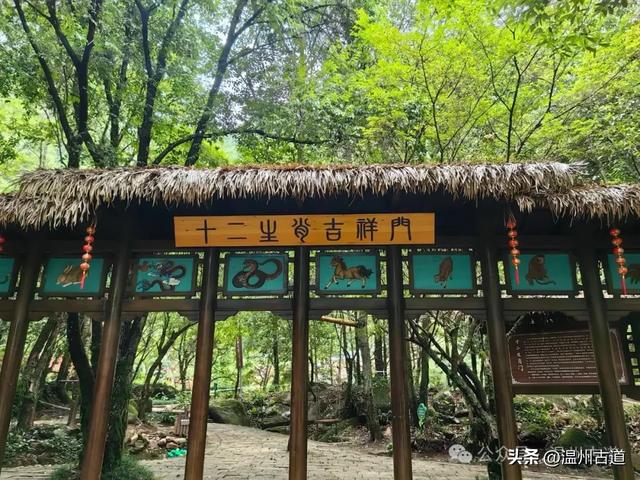 温州这个以畲族始祖命名的4A级景区，秘藏着一座“生物王国”！