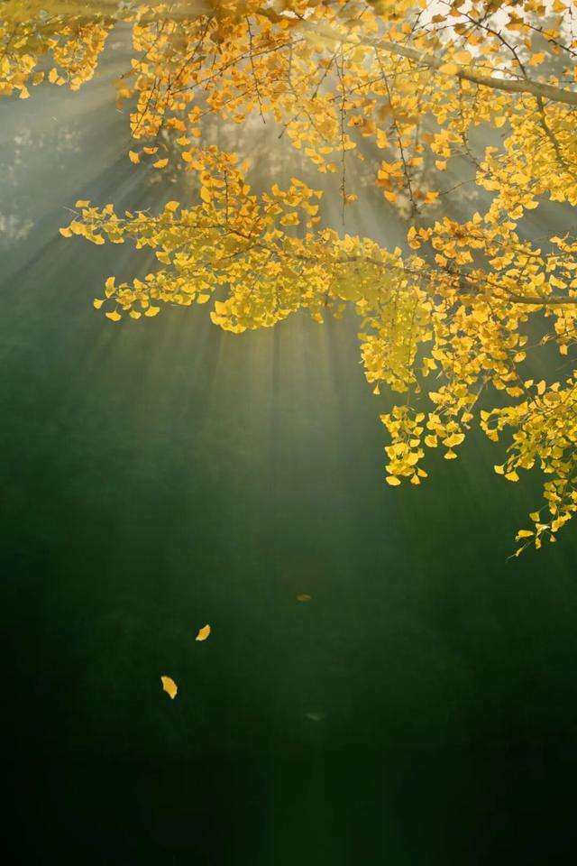 地理冷知识—12月份去哪旅游