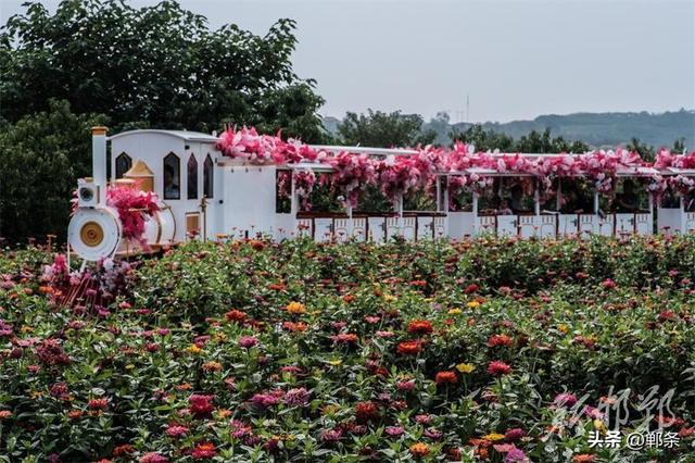 向阳花开，相约复兴