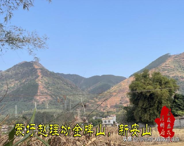 桂平人文：浔州抗日烽火——正面战场桂平境内最大一仗，蒙圩之痛