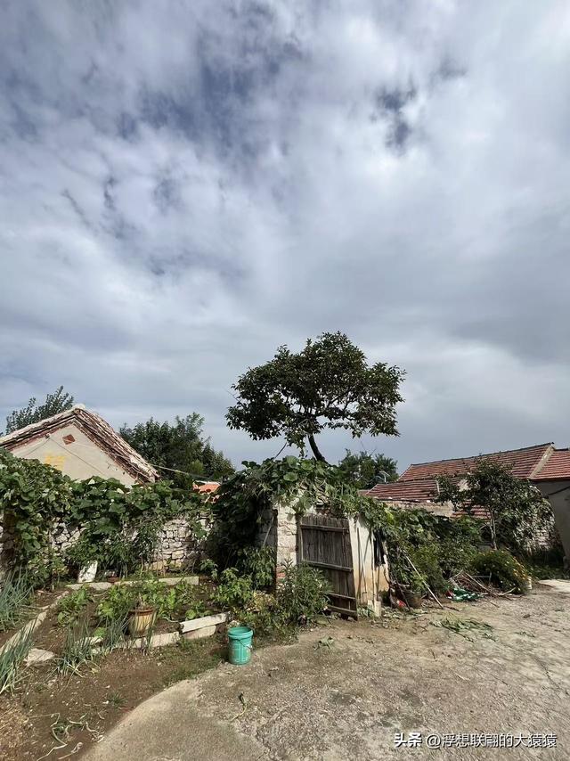 莱芜禹王山顶有座明初建立的古村：东平洲