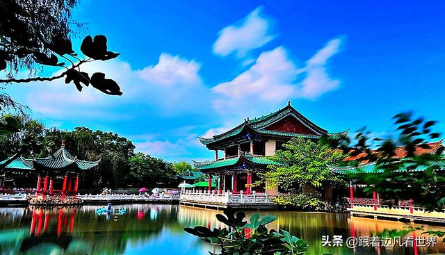 昆明蓝配翠湖银杏黄——藏着昆明最温柔的冬天