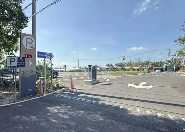 上海人的“宝藏后花园”全面升级啦！水上森林玩出新花样，这份攻略请收好！