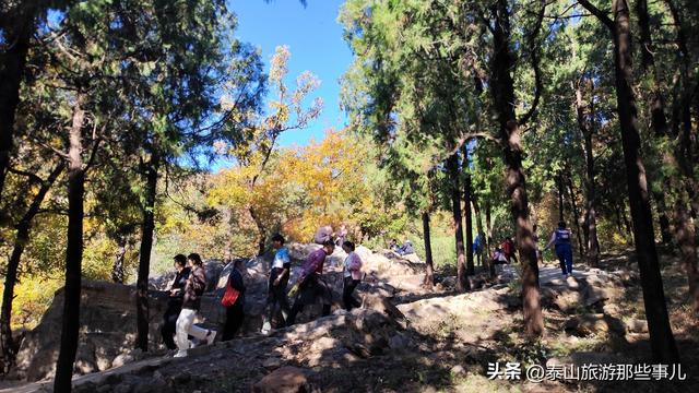 泰安：它是一个藏在泰山群峰间的免费景点，能赏银杏登天梯品清茶