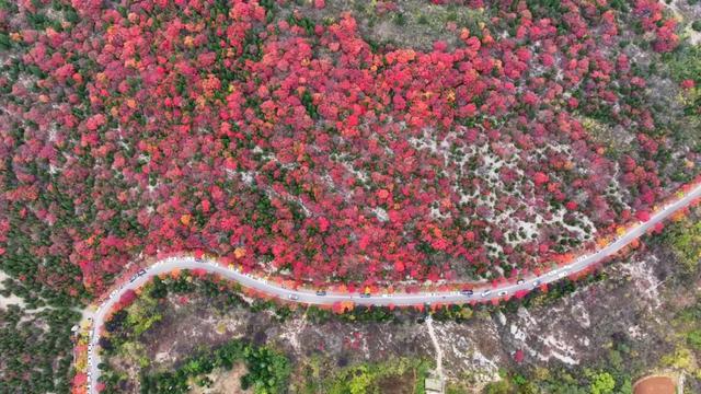 枣庄牛郎山,你怎么美成这样!!
