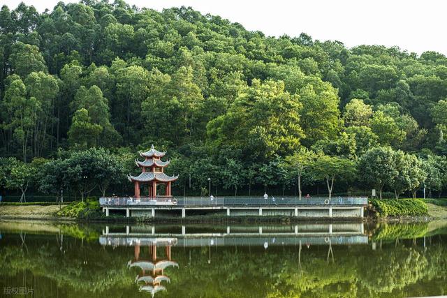 一脚油门直达城建天花板：深圳郊区太会了