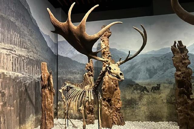 南京博物院 中国三大博物馆之一