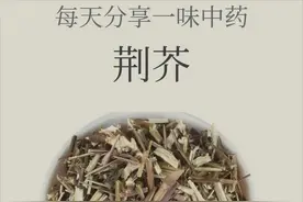 药师说中药（11）——荆芥图片