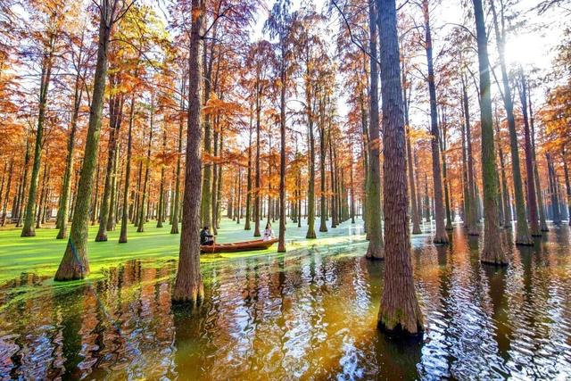 扬州冬始，园林私语