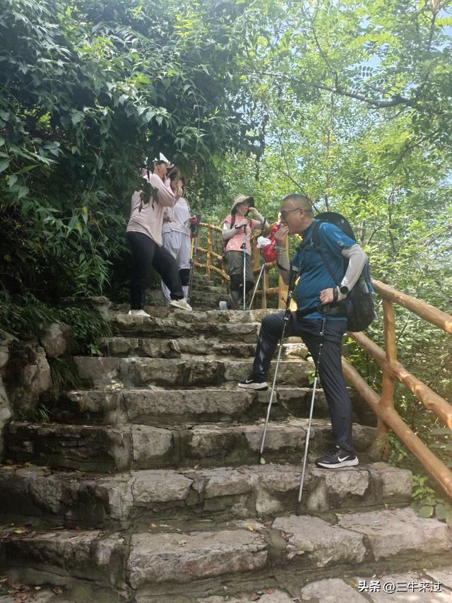 无为在歧路，齐山一块八
