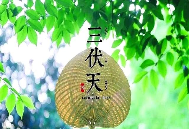“早入伏凉得早。晚入伏热得跳”，7月20号入伏，入伏是早是晚？