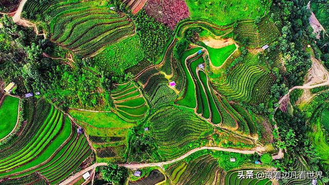 《西双版纳 澜沧行》左都佤山梯田云雾：天地间的水墨长卷