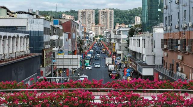 龙岗秋冬浪漫打卡指南来了！瀑布花海、空中花路…这份粉色攻略快收好！