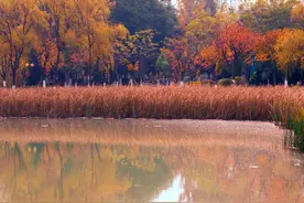 前列腺癌的内分泌治疗到底要用多久？图片