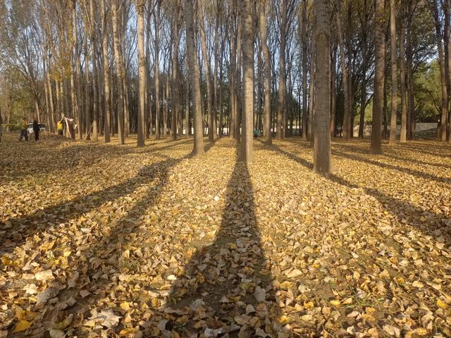 骑行孤独寻心静