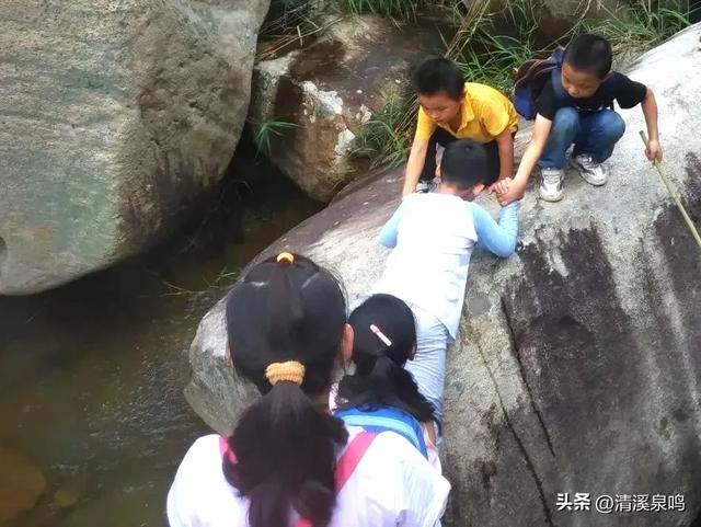 凤凰蛋石寄心愁
