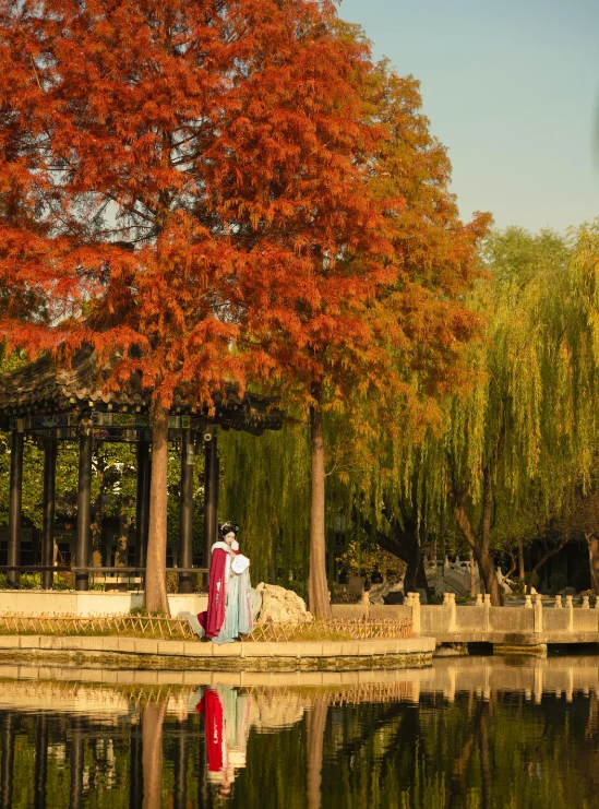 临沂「红杉」「红枫」浓度拉满，出片率100%