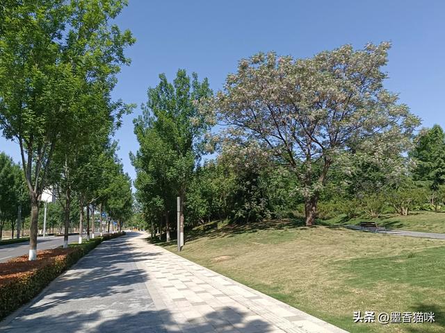浐灞港务区半日游,顺路逛到临潼,然后坐火车回西安