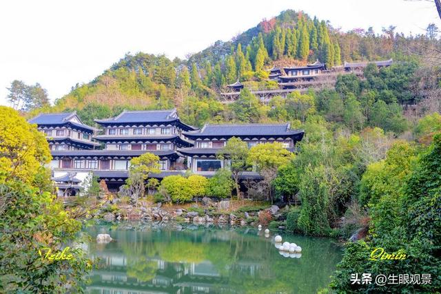 影记 | 衢州根雕艺术之都——根宫佛国(上)