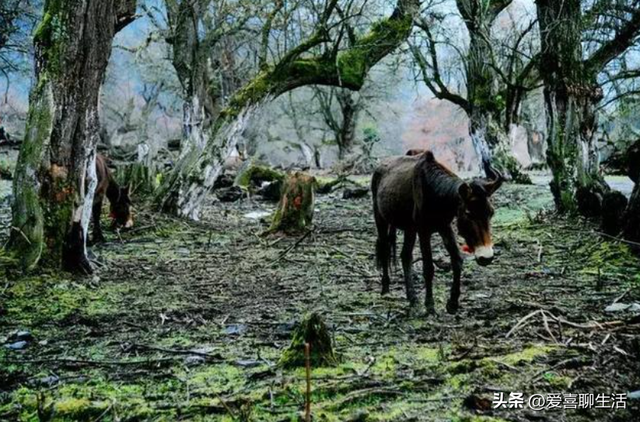 国庆出游，别再去人多的地方买罪受，这5个小众宝藏胜地，特好玩