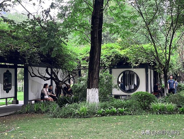 成都主城区老牌公园，最适合乘凉避暑，超级舒服，地铁公交直达！