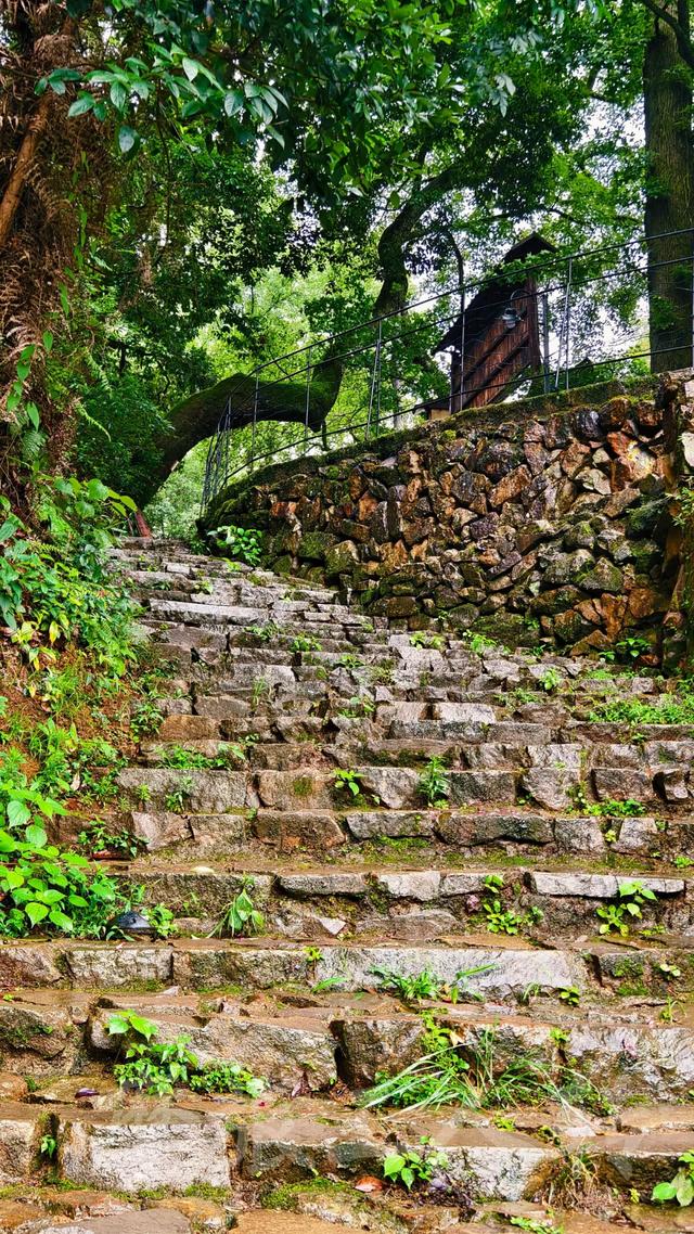 皖浙摩旅二人转——松阳松庄村篇