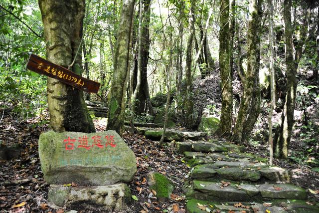 散文 | 梁 平：遥远的哀牢山