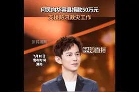 知名主持人何炅，捐款50万元图片