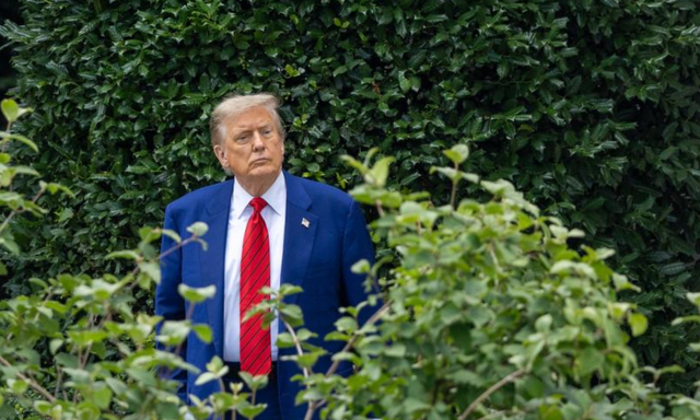 泽连斯基再次被外强中干的欧洲忽悠，特朗普让他们现实点儿