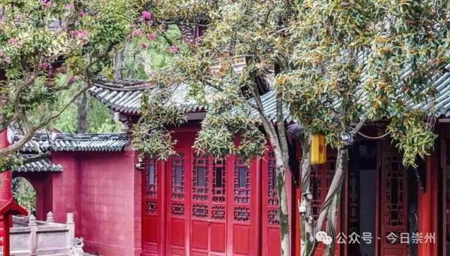 崇州新品“香氛”已上线，隔着屏幕都闻到了香味