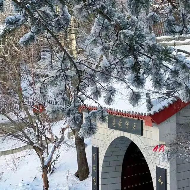 雪遇华山・福利就位｜这份优惠指南别错过