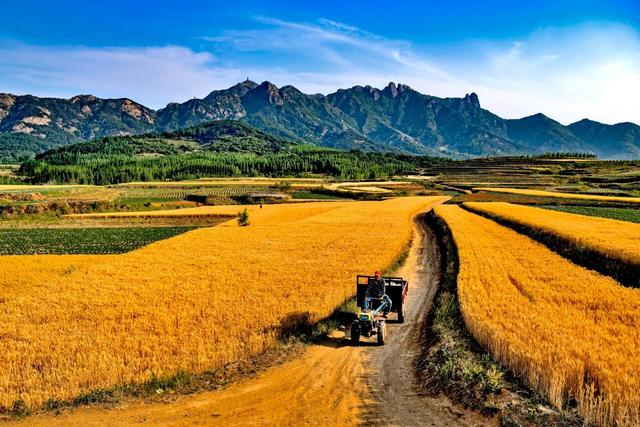 “齐鲁天路”诸城段景点（九）：马耳山